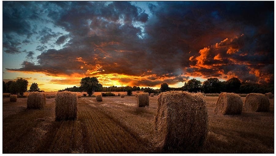 Профессиональная панель Samsung VM55T-U